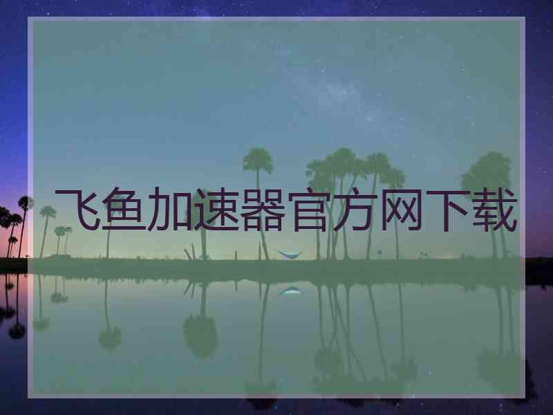 飞鱼加速器官方网下载