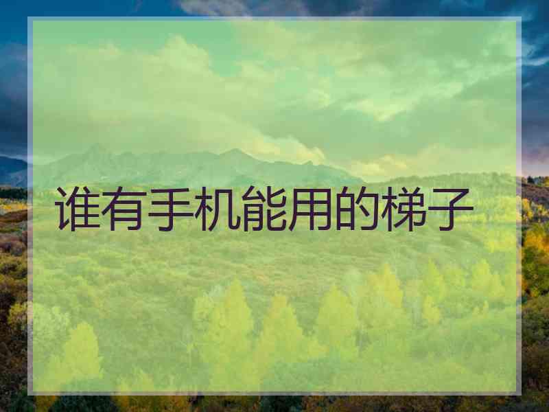 谁有手机能用的梯子