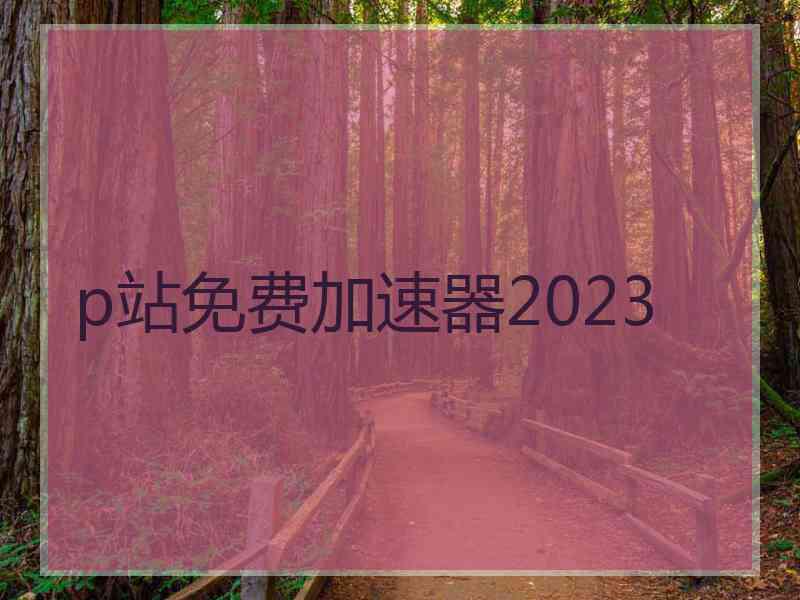 p站免费加速器2023