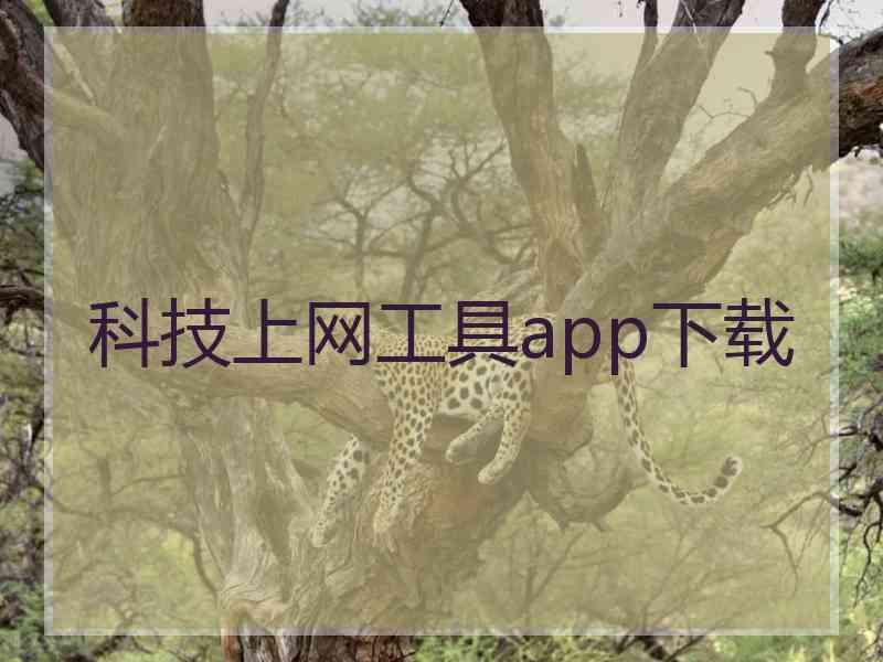 科技上网工具app下载
