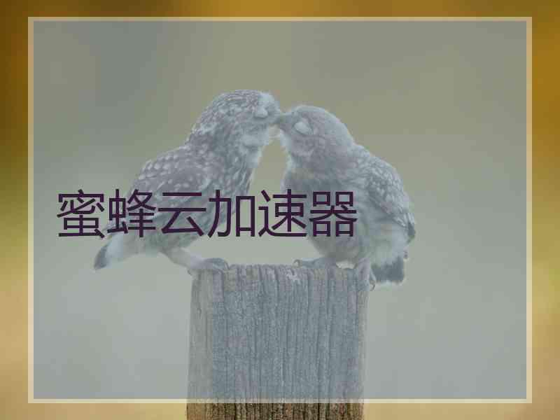 蜜蜂云加速器