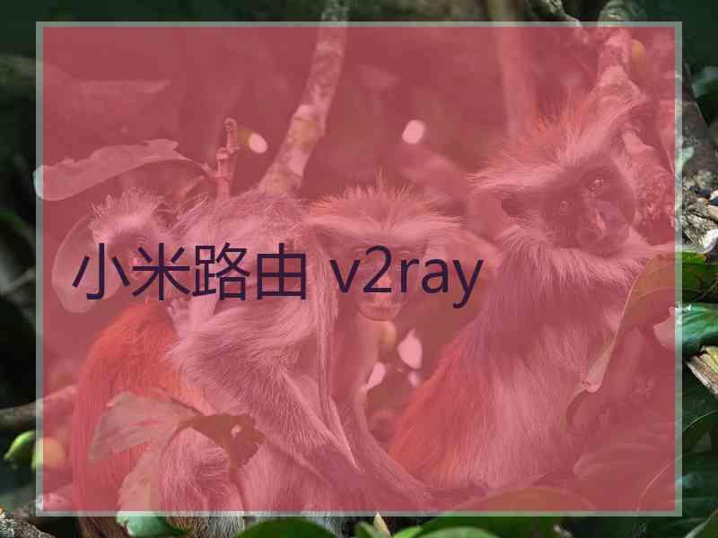 小米路由 v2ray