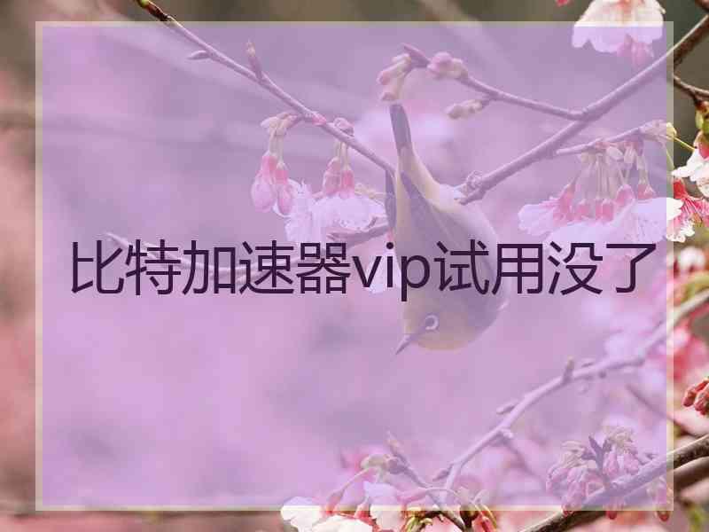 比特加速器vip试用没了