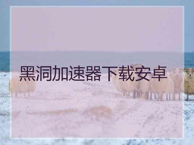 黑洞加速器下载安卓