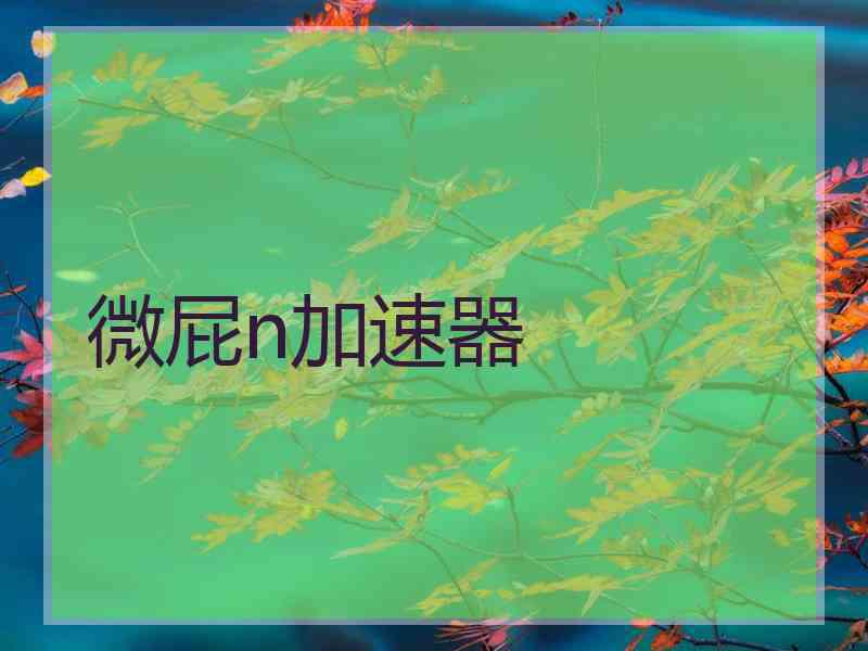 微屁n加速器