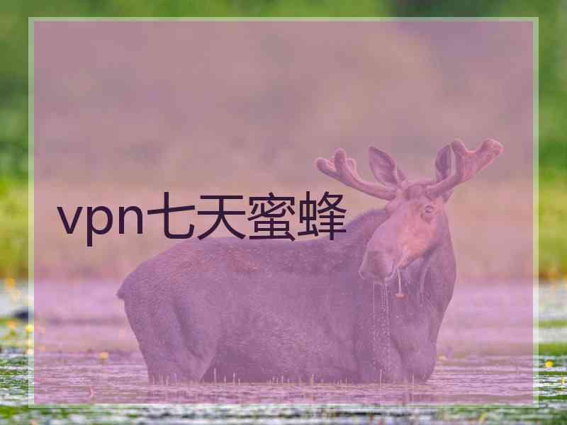 vpn七天蜜蜂
