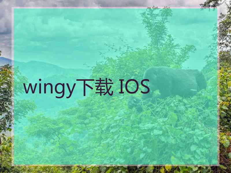 wingy下载 IOS