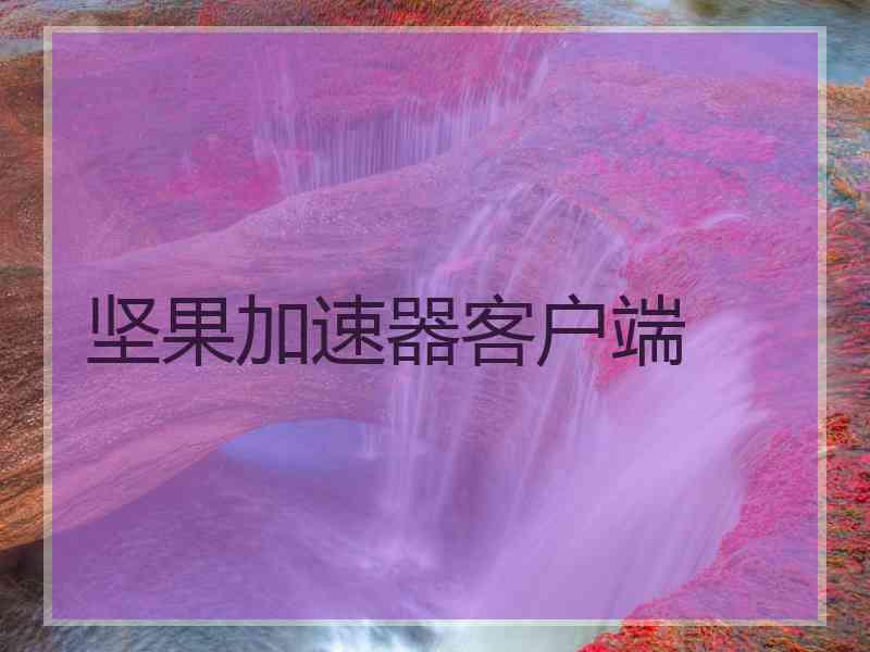 坚果加速器客户端