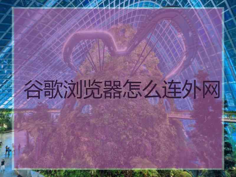 谷歌浏览器怎么连外网