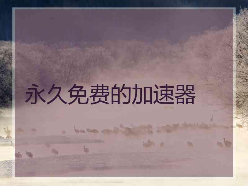 永久免费的加速器