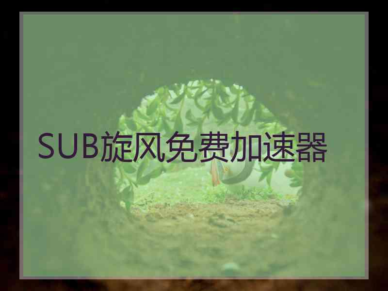SUB旋风免费加速器
