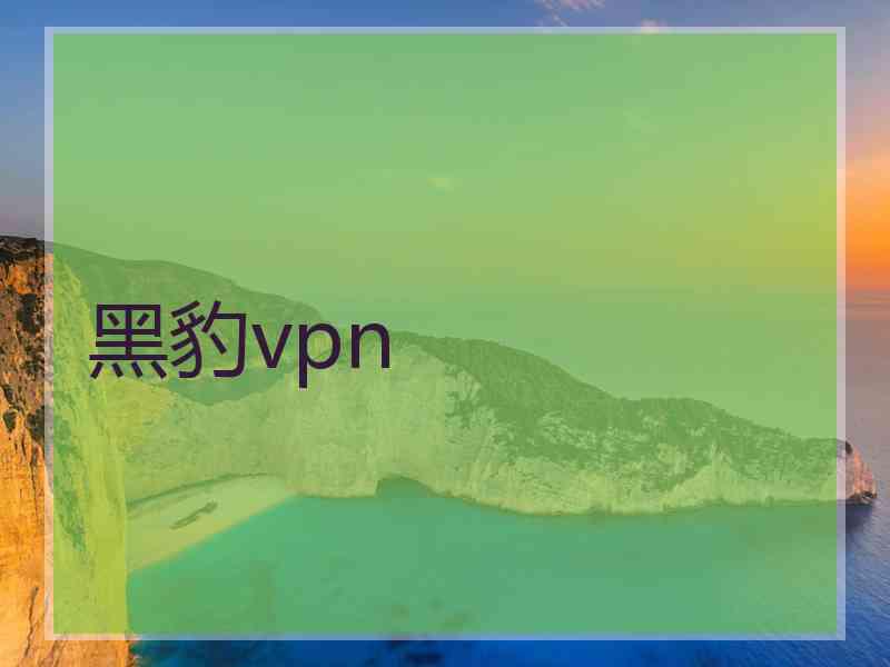黑豹vpn