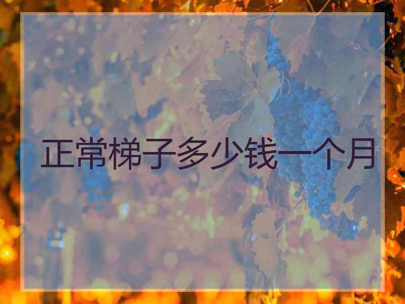 正常梯子多少钱一个月
