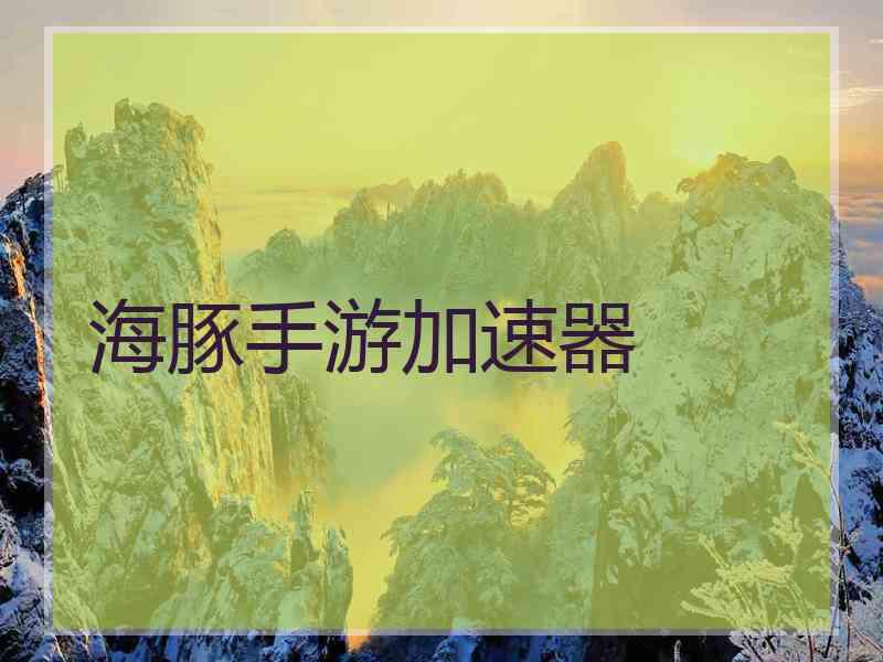 海豚手游加速器