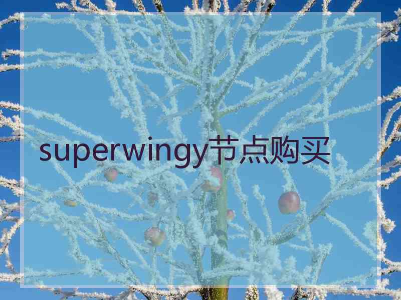 superwingy节点购买