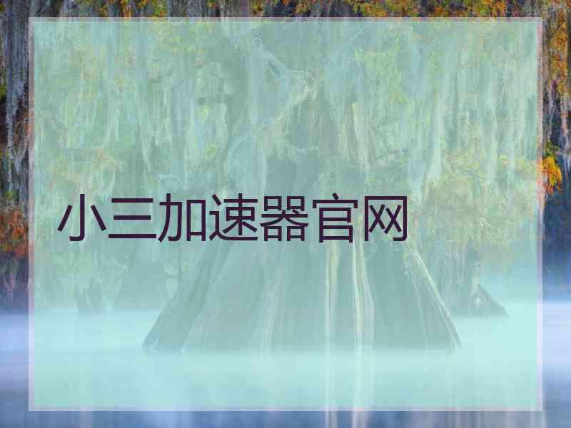 小三加速器官网