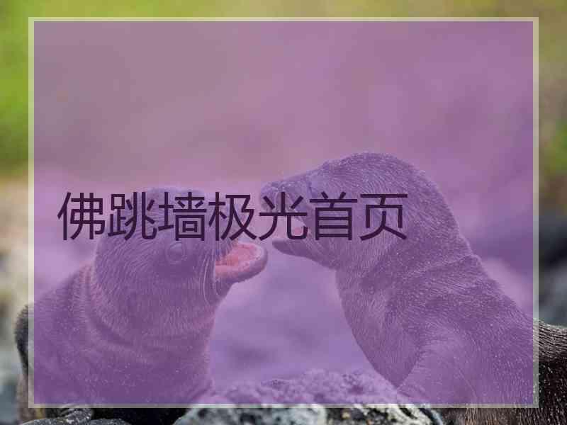 佛跳墙极光首页
