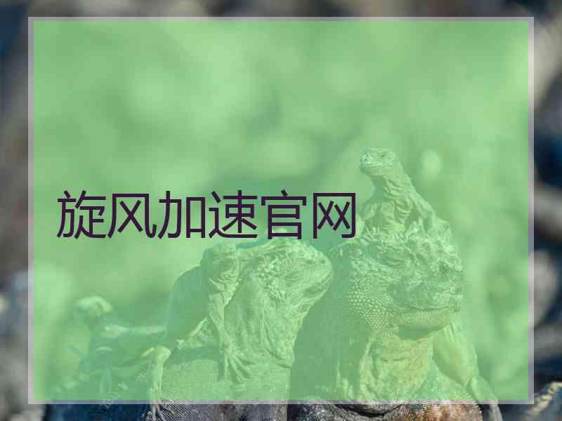 旋风加速官网