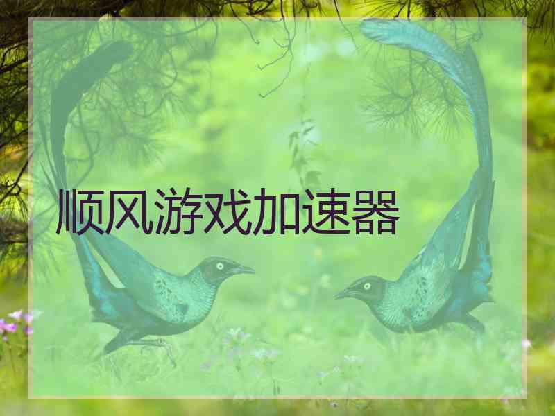 顺风游戏加速器