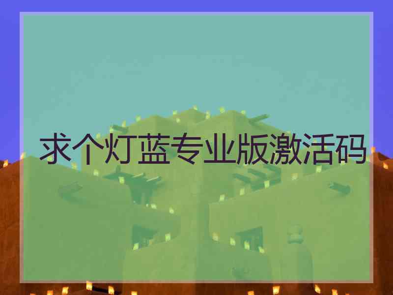 求个灯蓝专业版激活码