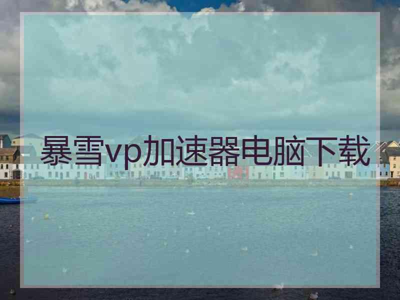 暴雪vp加速器电脑下载