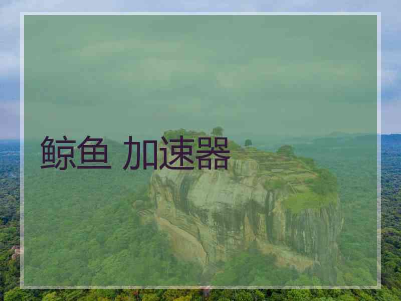 鲸鱼 加速器