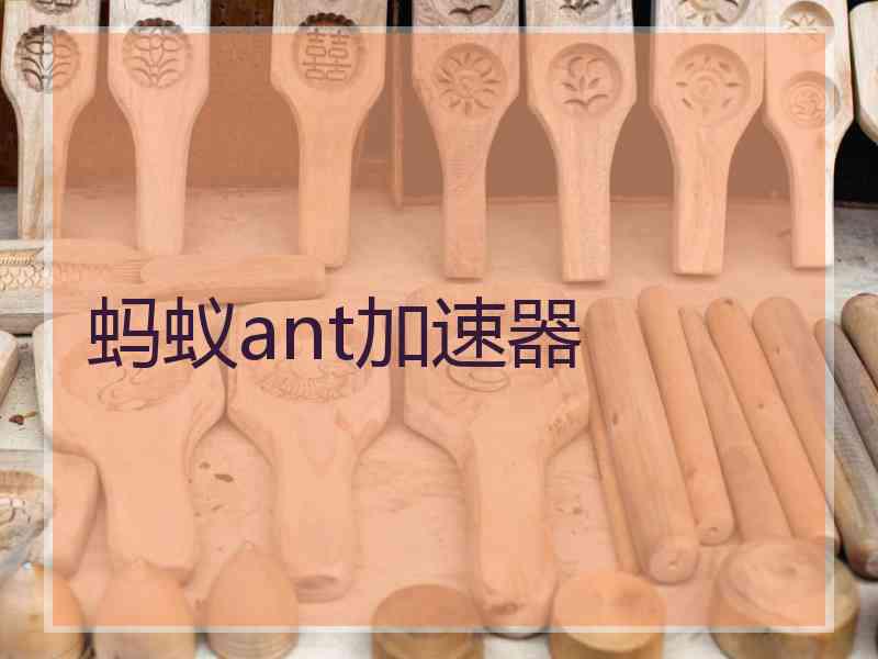 蚂蚁ant加速器