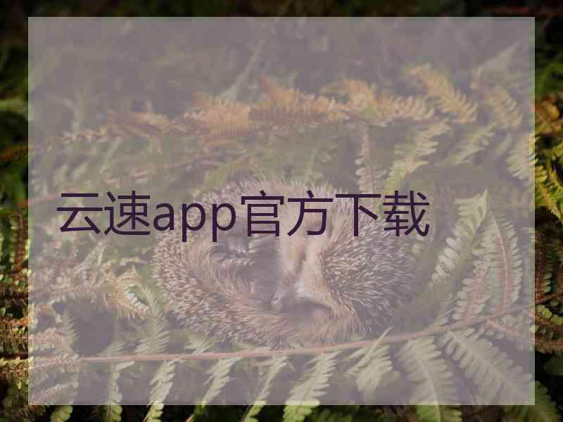 云速app官方下载