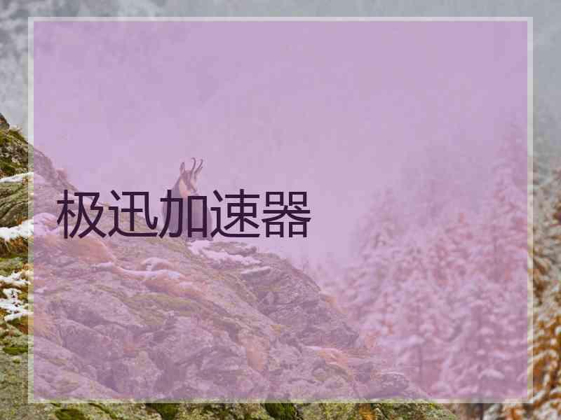 极迅加速器
