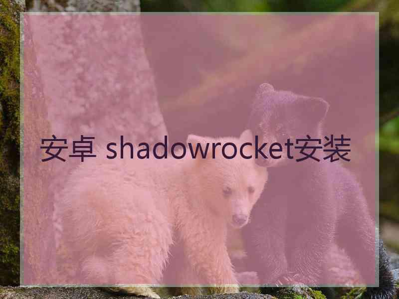 安卓 shadowrocket安装