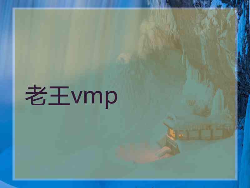 老王vmp