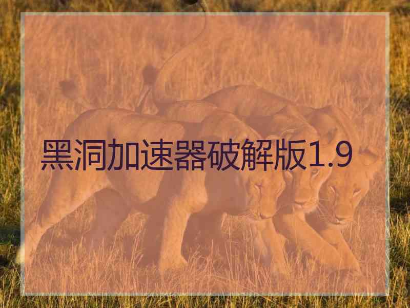 黑洞加速器破解版1.9