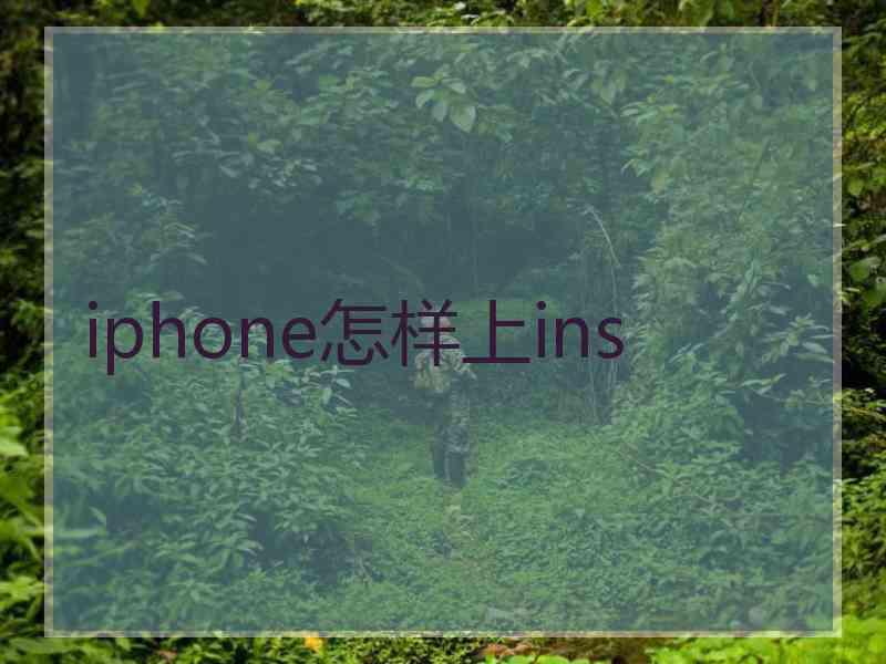 iphone怎样上ins