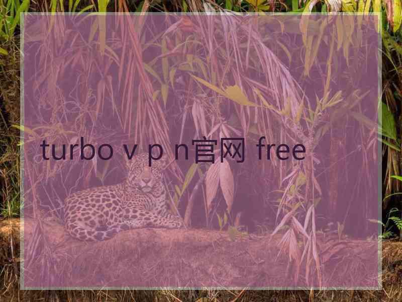 turbo v p n官网 free