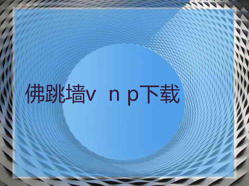 佛跳墙v  n p下载