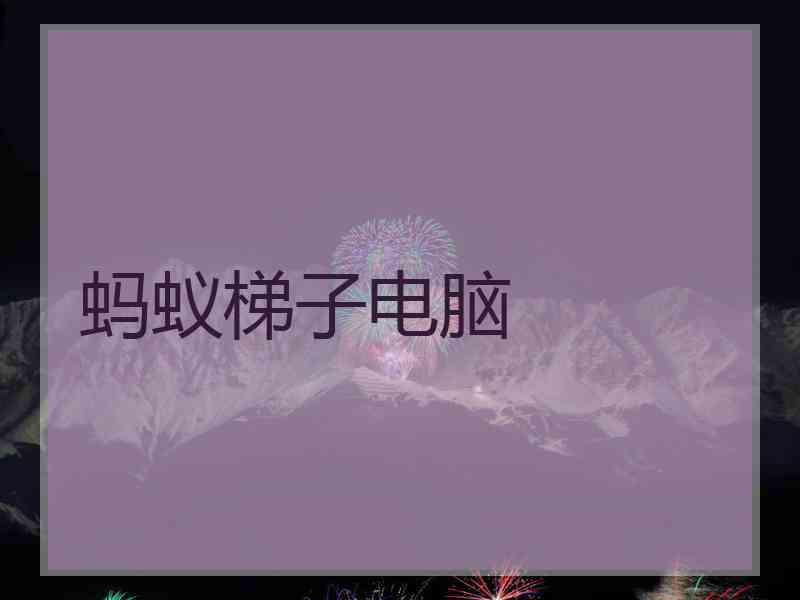 蚂蚁梯子电脑
