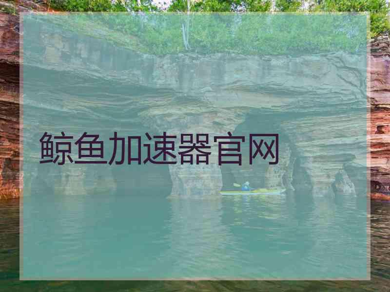 鲸鱼加速器官网