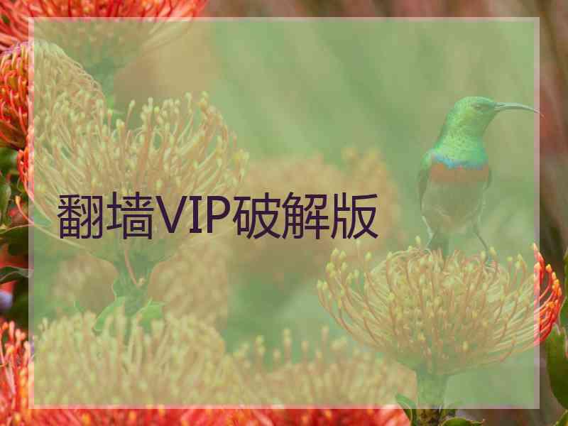翻墙VIP破解版