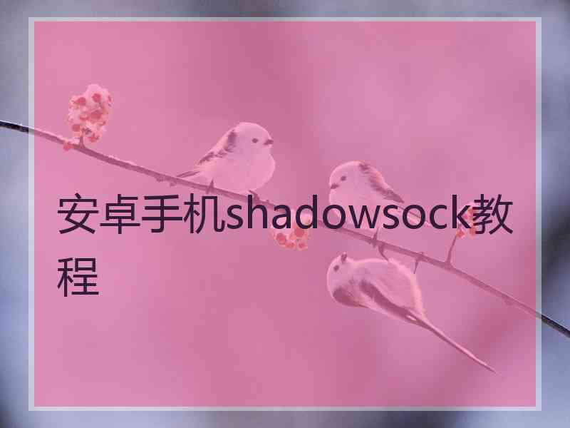 安卓手机shadowsock教程
