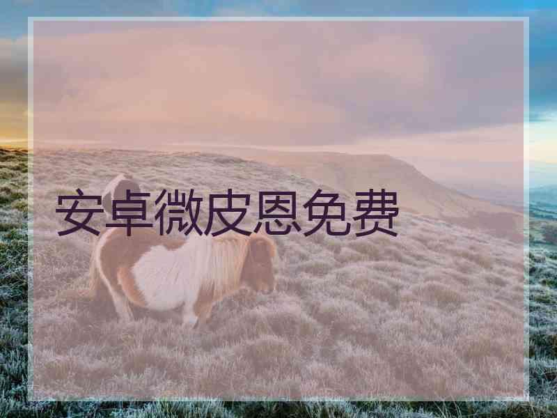 安卓微皮恩免费