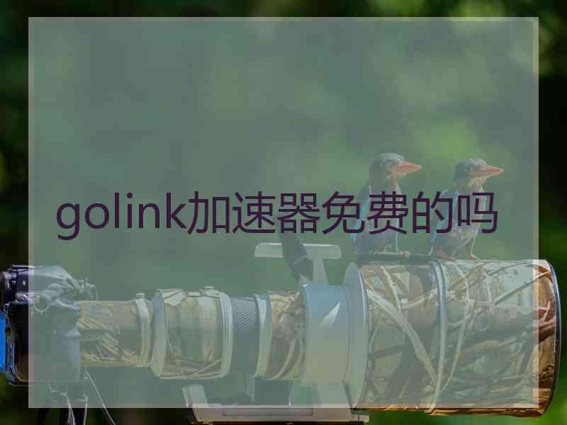 golink加速器免费的吗