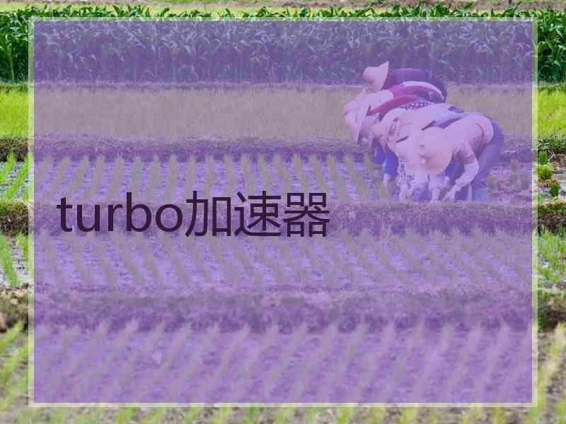 turbo加速器