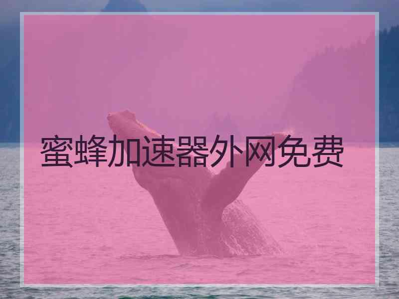 蜜蜂加速器外网免费