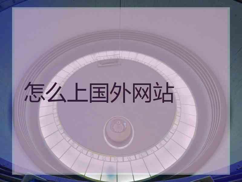 怎么上国外网站