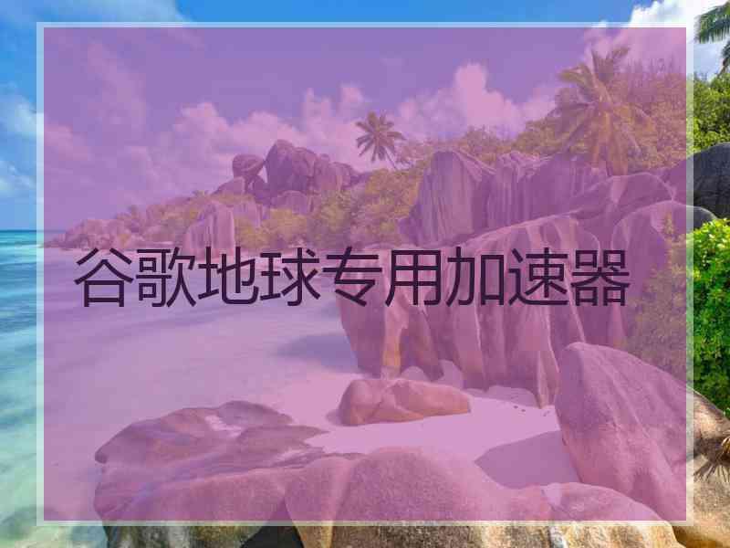 谷歌地球专用加速器