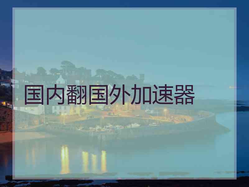 国内翻国外加速器