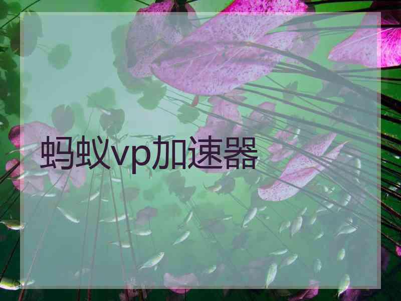 蚂蚁vp加速器