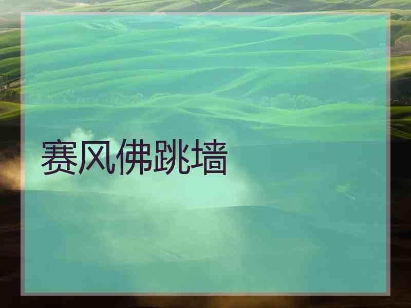 赛风佛跳墙