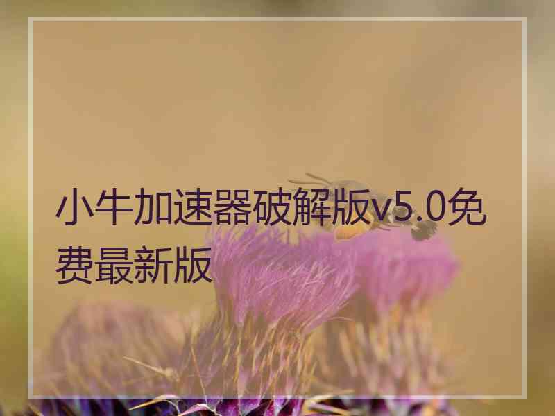 小牛加速器破解版v5.0免费最新版