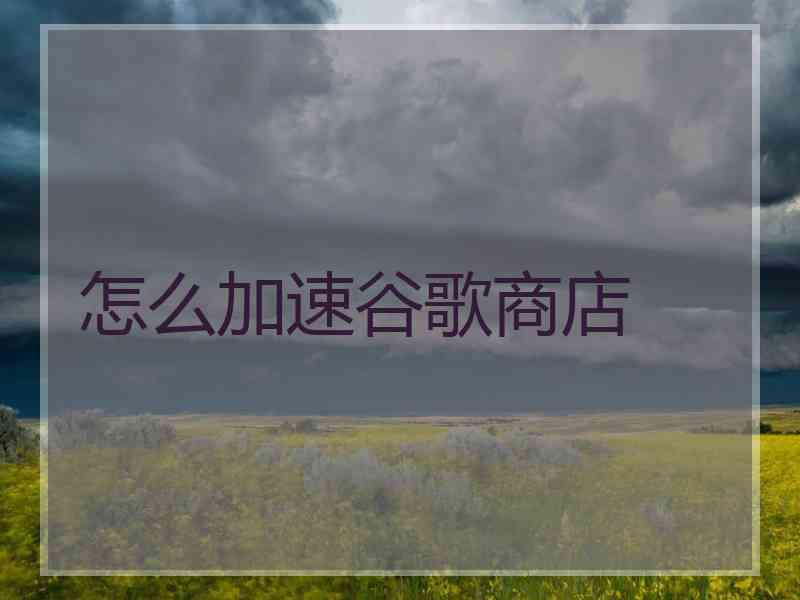 怎么加速谷歌商店